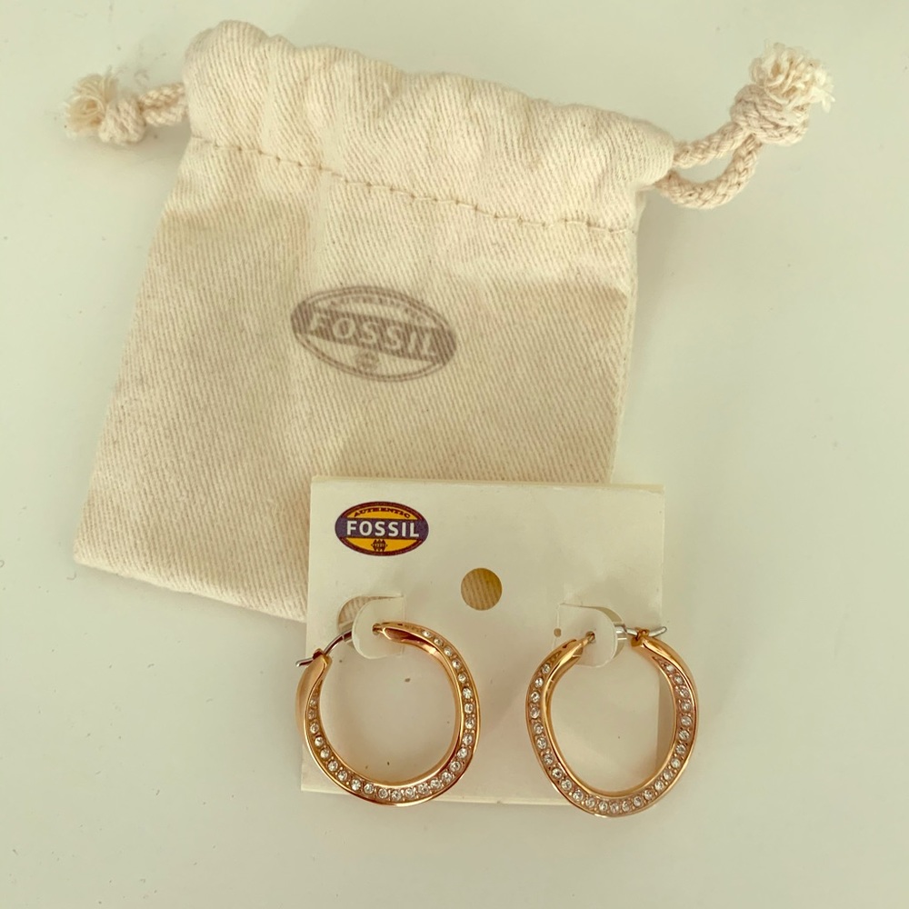 Fossil Hoop Earrings